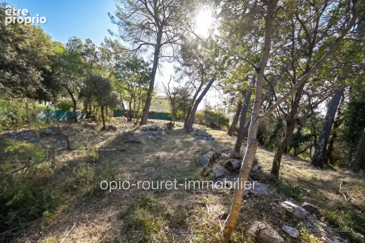 Terrain 2 500 m² à vendre à Roquefort-Les-Pins (06330) - photo 6