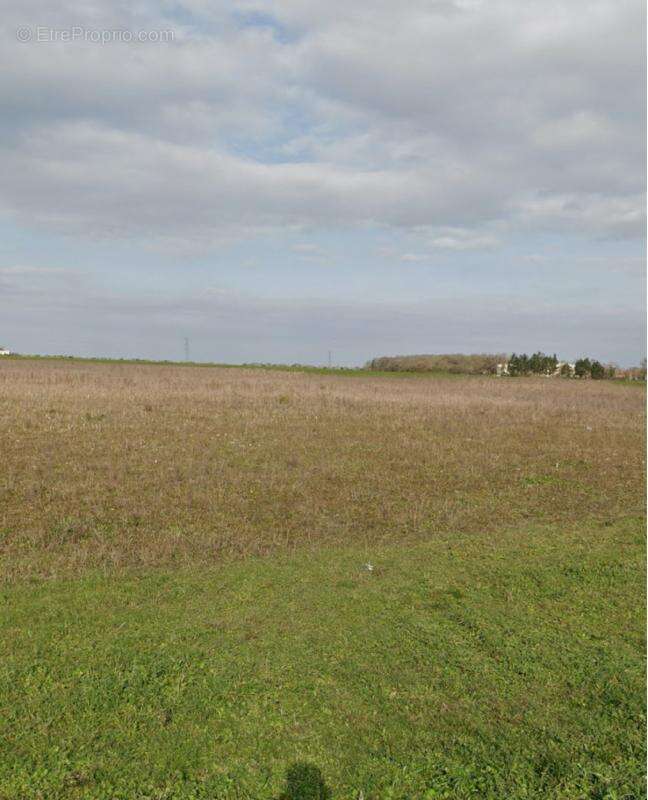 Terrain à PUILBOREAU