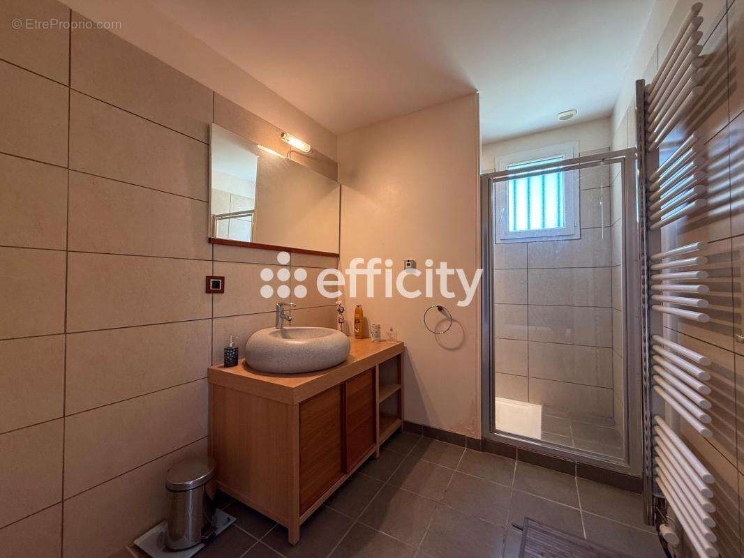 Maison 213 m² à Saint-Epain  - photo 11