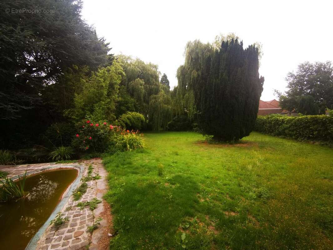 Photo 6 - Maison à SAINGHIN-EN-MELANTOIS