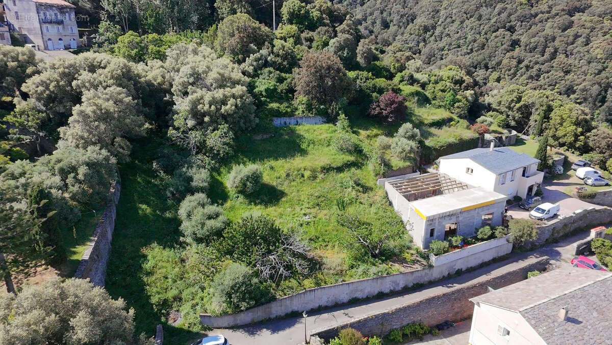 Cap Corse Pino   Terrain à bâtir avec vue mer et avant-projet de villa d’architecte - photo 3
