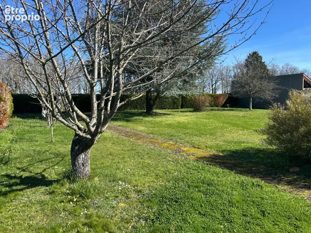 maison de plain-pied située à Chateauponsac (87290), implantée sur un terrain de 2180m² clos - photo 17