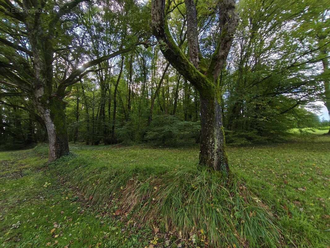 Autre à MERY-SUR-CHER