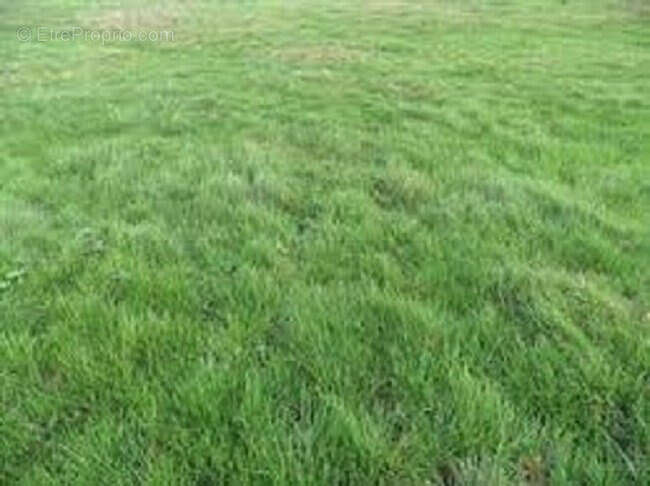 Terrain 739 m² à Livry-Sur-Seine  - photo 2