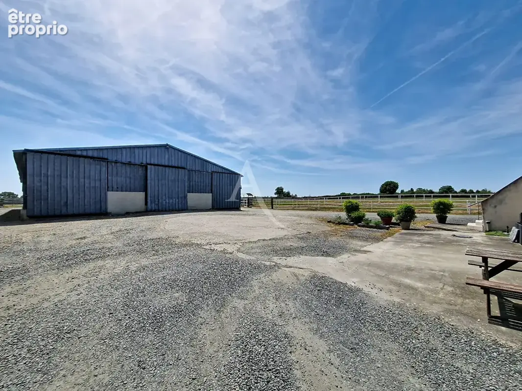 Propriété de charme à 10 min du LION D'ANGERS - photo 17