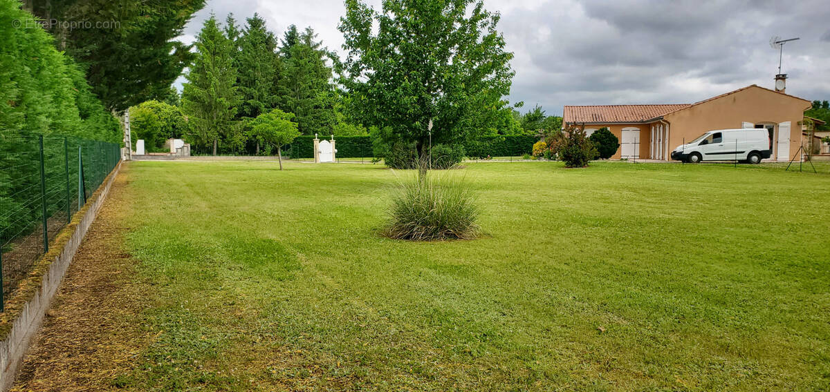 Terrain à GAILLAC
