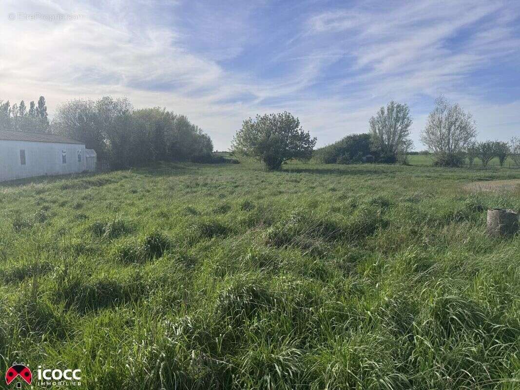 Terrain à SAINT-MICHEL-EN-L'HERM