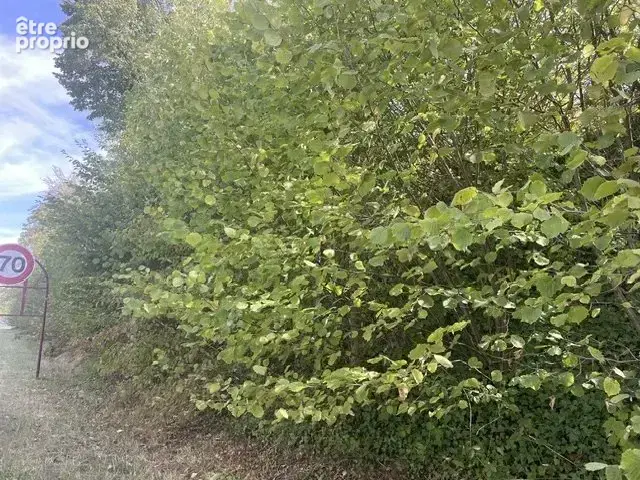 Terrain constructible à Ligny en Barrois - photo 4