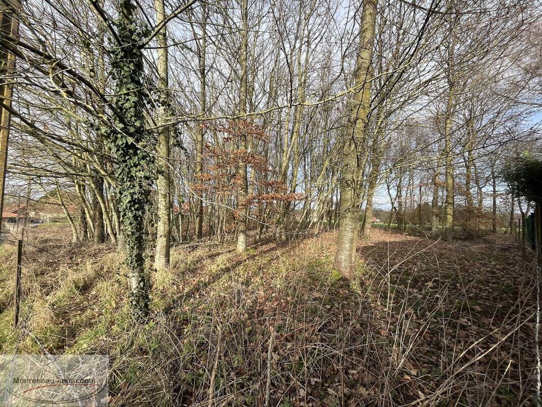 Terrain à VENDHUILE