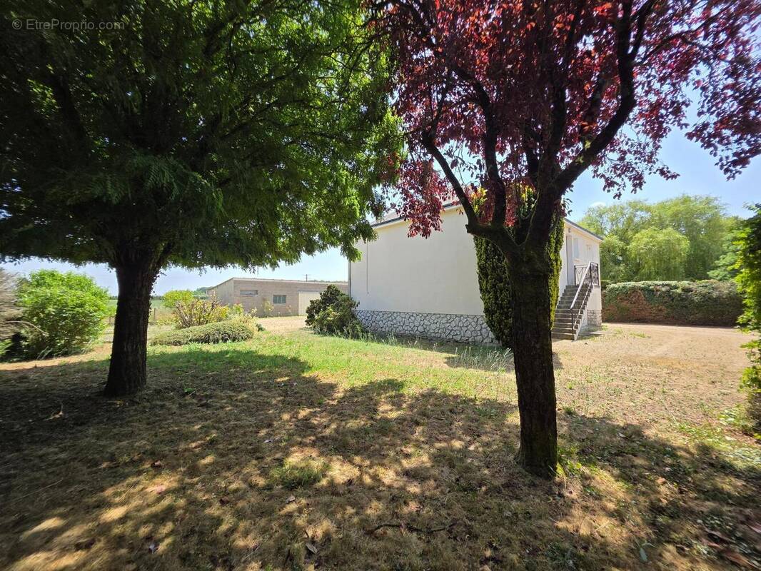 Photo 1 - Maison à NOYANT