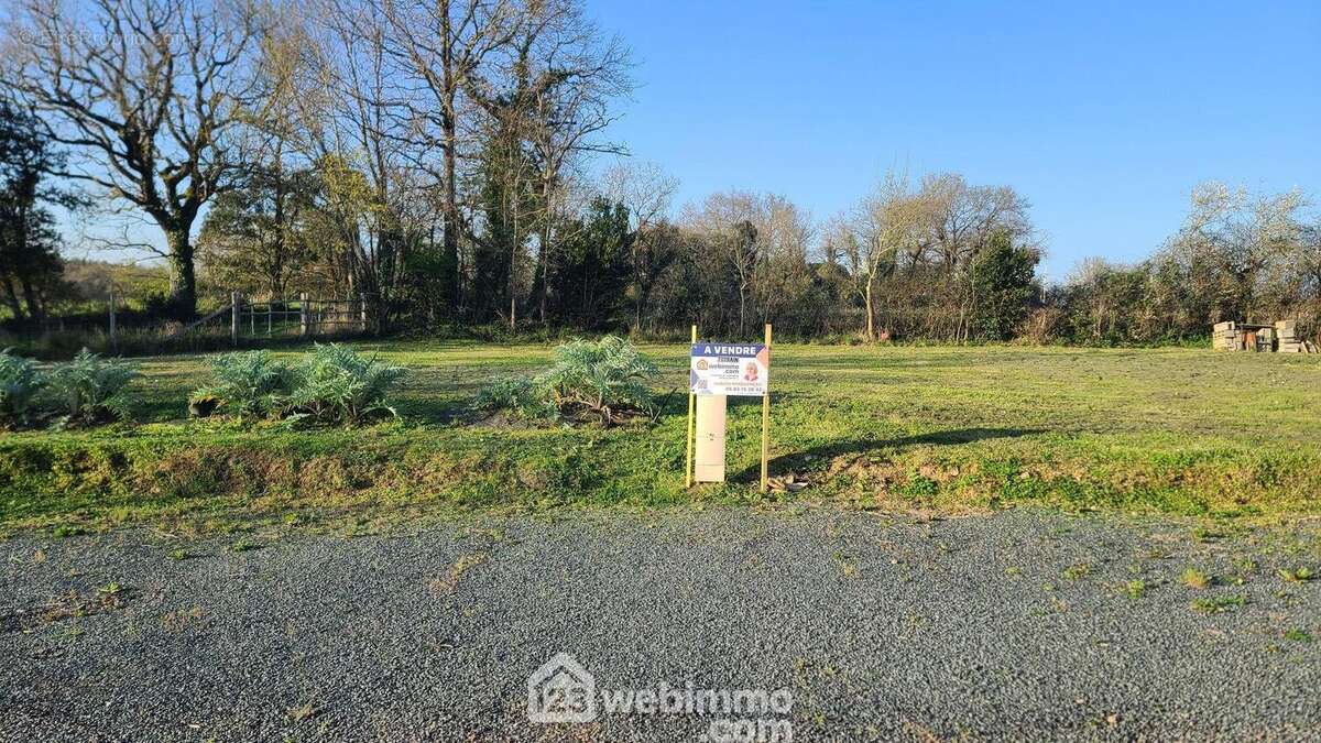 Allée aménagée pour accéder à la parcelle viabilisée coté sud - Terrain à TALMONT-SAINT-HILAIRE
