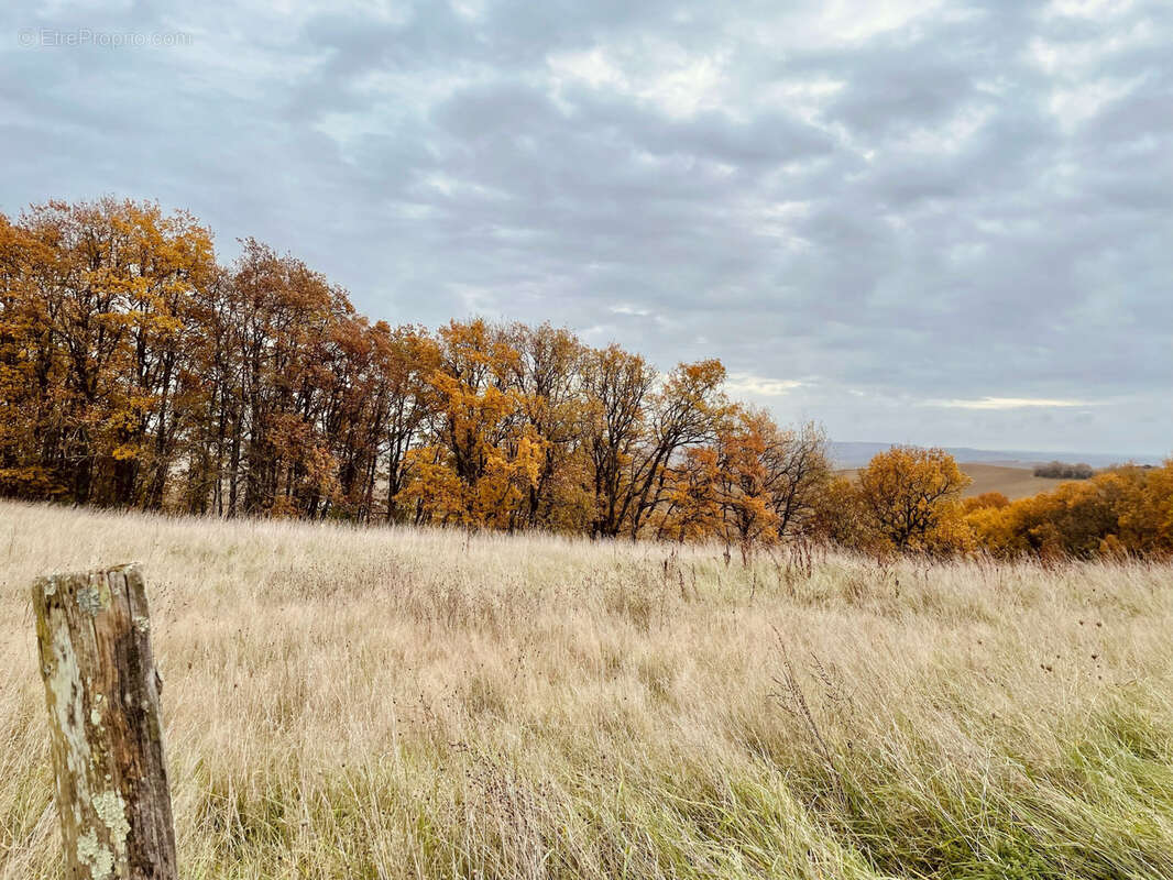 Terrain à LAMOTHE-CUMONT