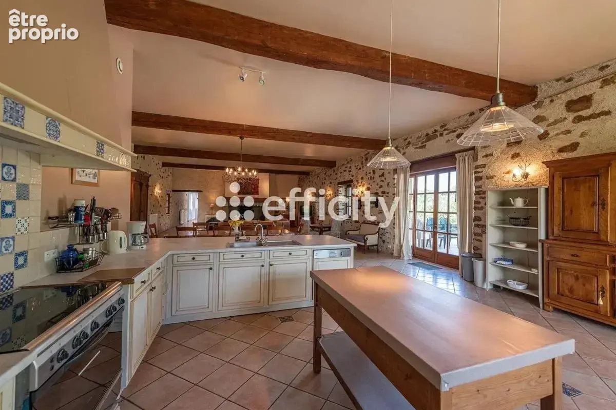 Maison 18 pièces 678 m² à vendre à Saint-Marcel-Campes (81170) - photo 3