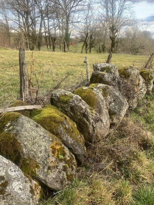 Maison à MUR-DE-BARREZ