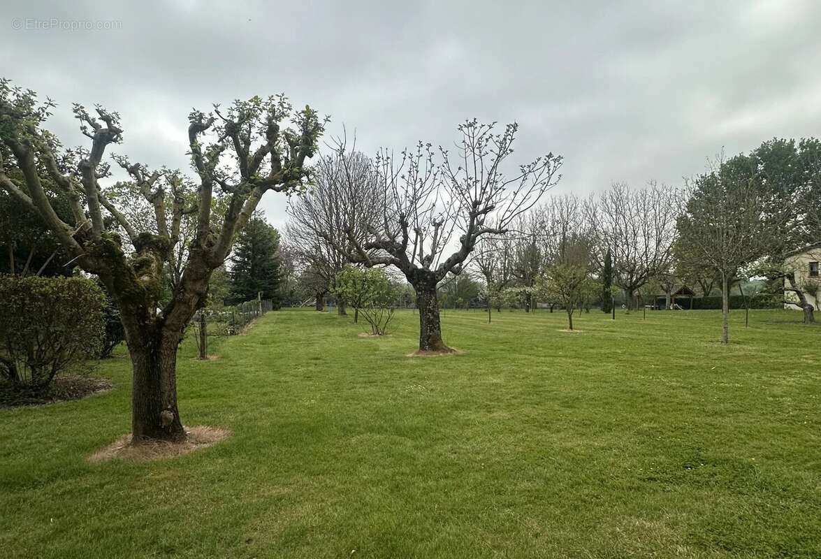 Maison à NEGREPELISSE