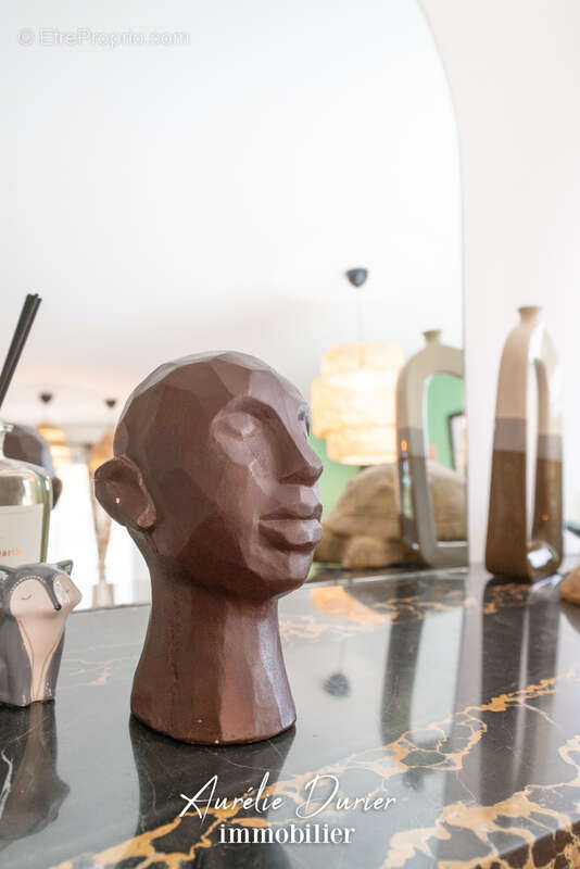 Maison à SAVONNIERES