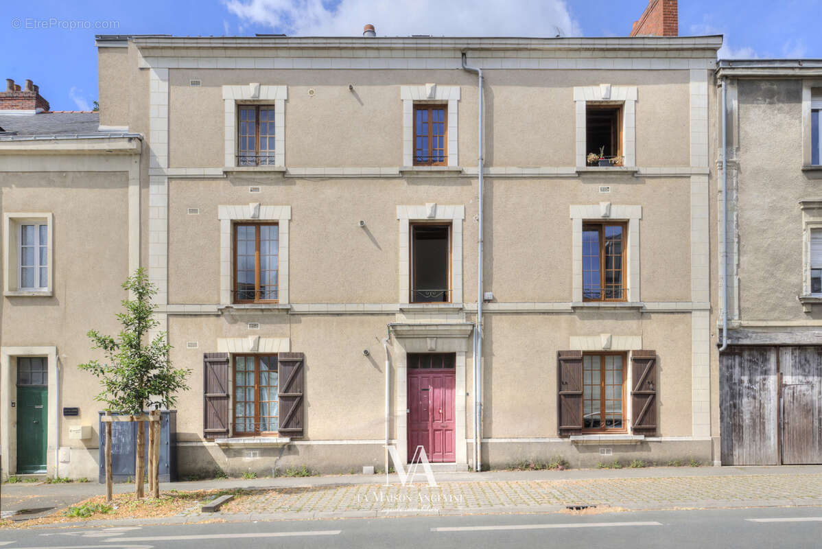 Angers bichon - photo 13