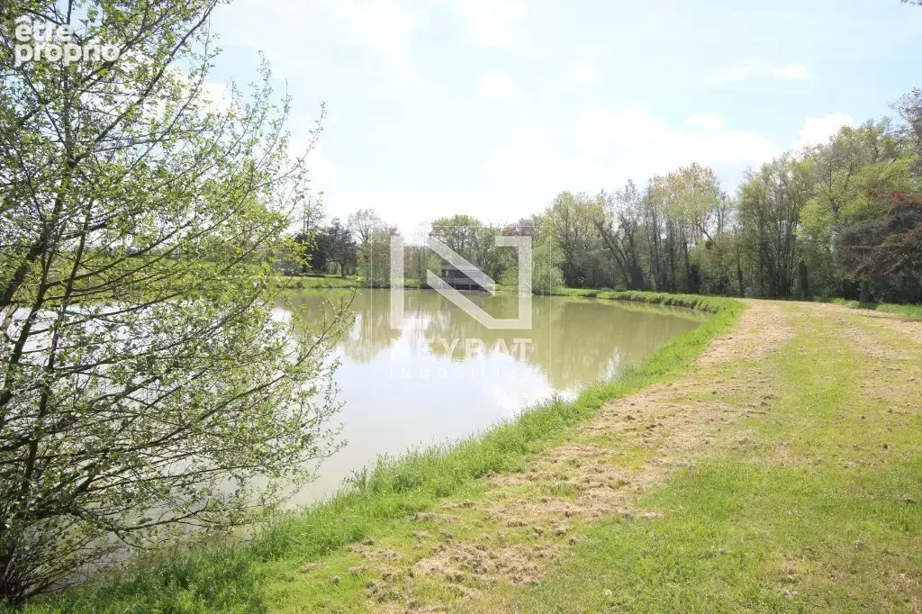 Etang avec sources - photo 7