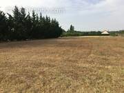 Terrain à SAINT-CYR-EN-BOURG