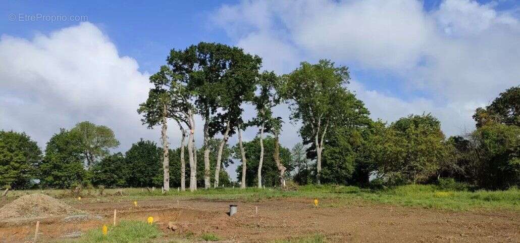 Terrain à ANDOUILLE-NEUVILLE