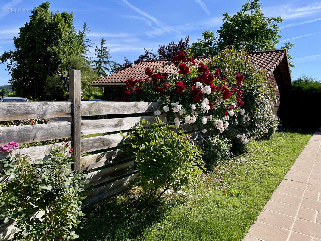 Maison à MARCIAC