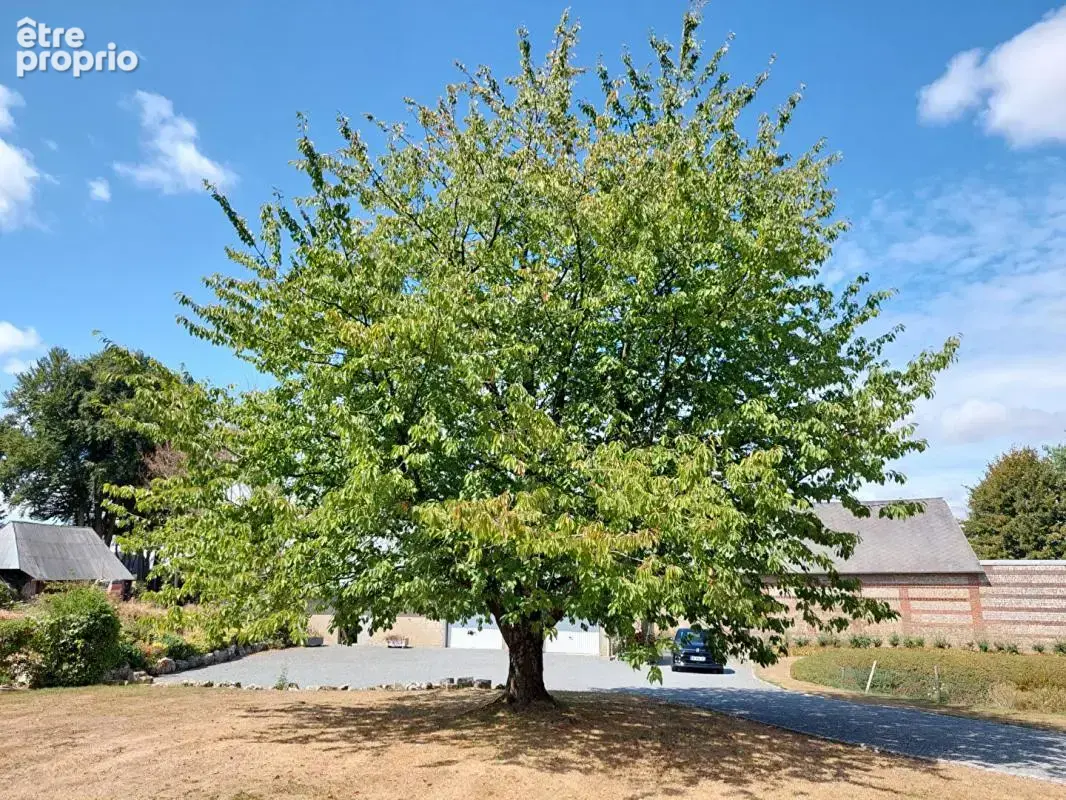 Ancien corp de ferme  7150 m² - photo 14