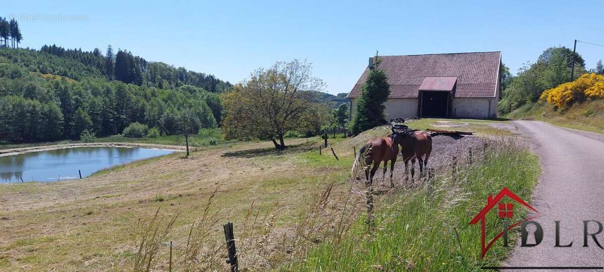 Ancienne ferme à renover avec étang,3 hectares de terrain - photo 12