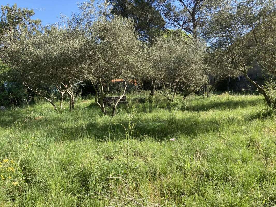 Terrain à SAINT-HIPPOLYTE-DU-FORT