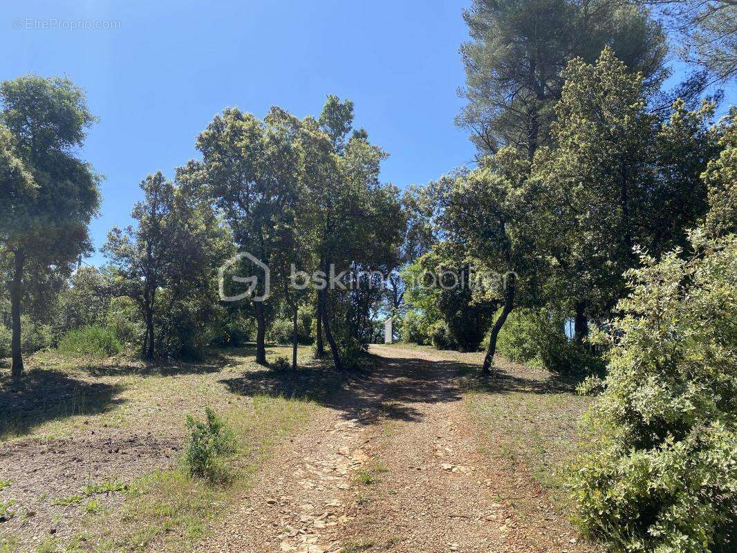 Terrain à BELCODENE