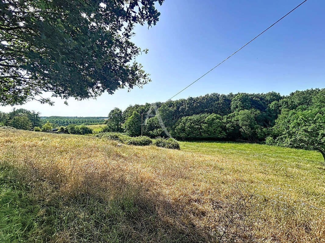 Terrain Loigne Sur Mayenne 23946 m2 - photo 7