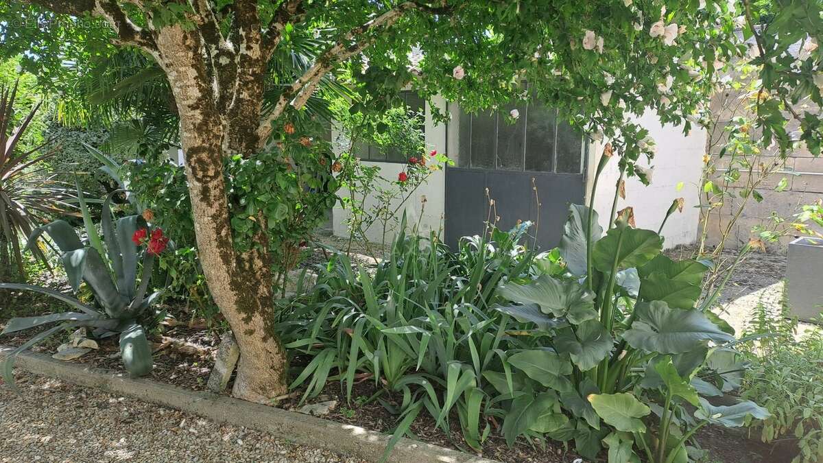 Entre Chateauneuf et Cognac charmante maison charentaise - photo 9