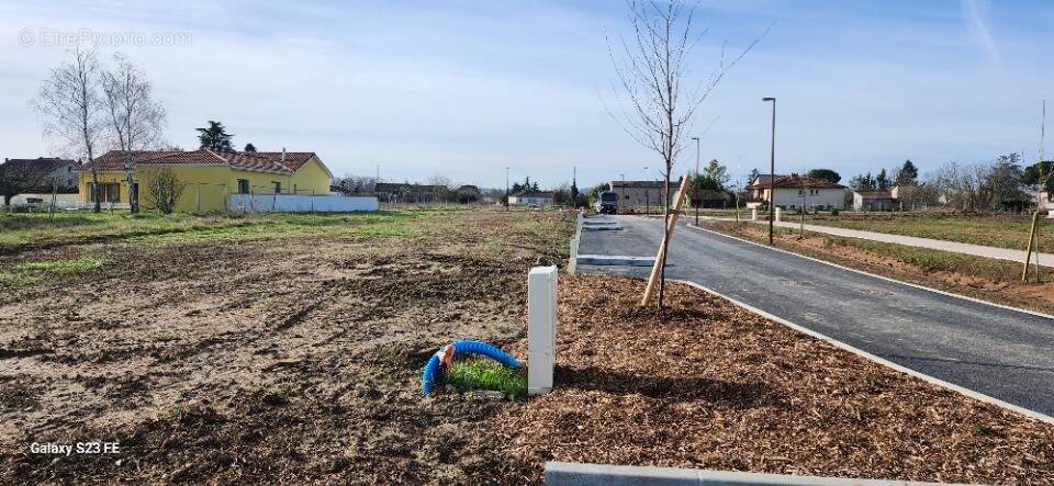 Terrain à LESCURE-D'ALBIGEOIS