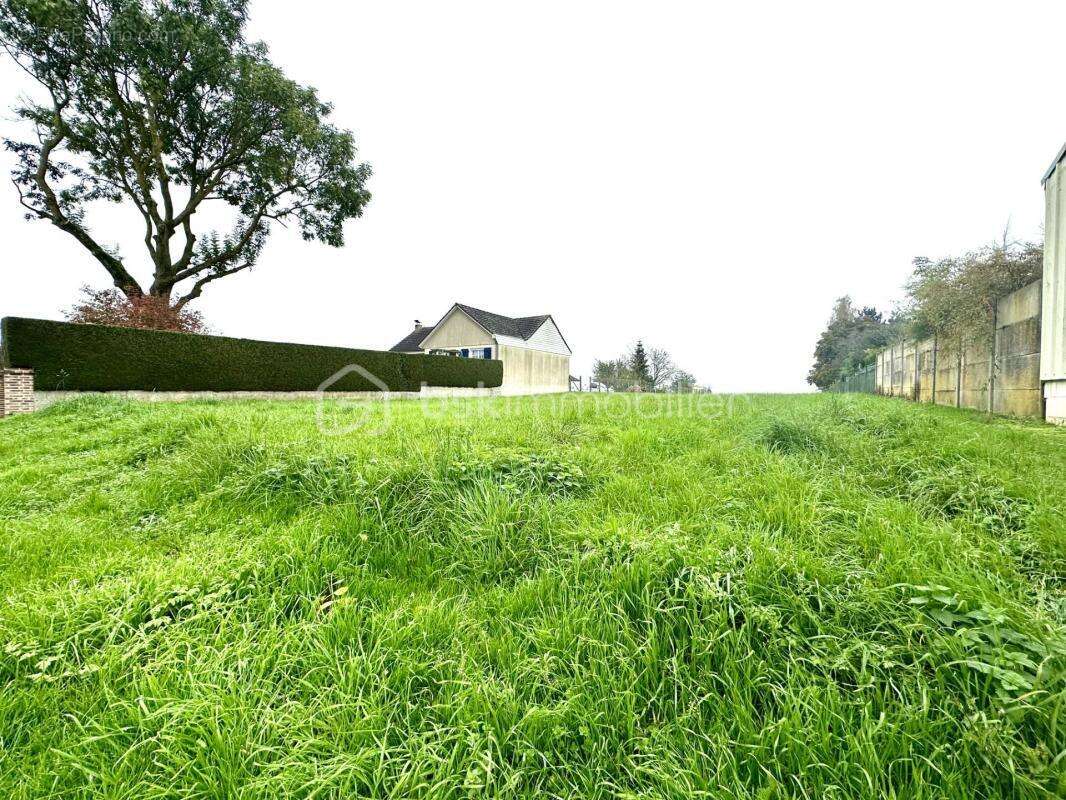 Terrain à AILLY-SUR-NOYE