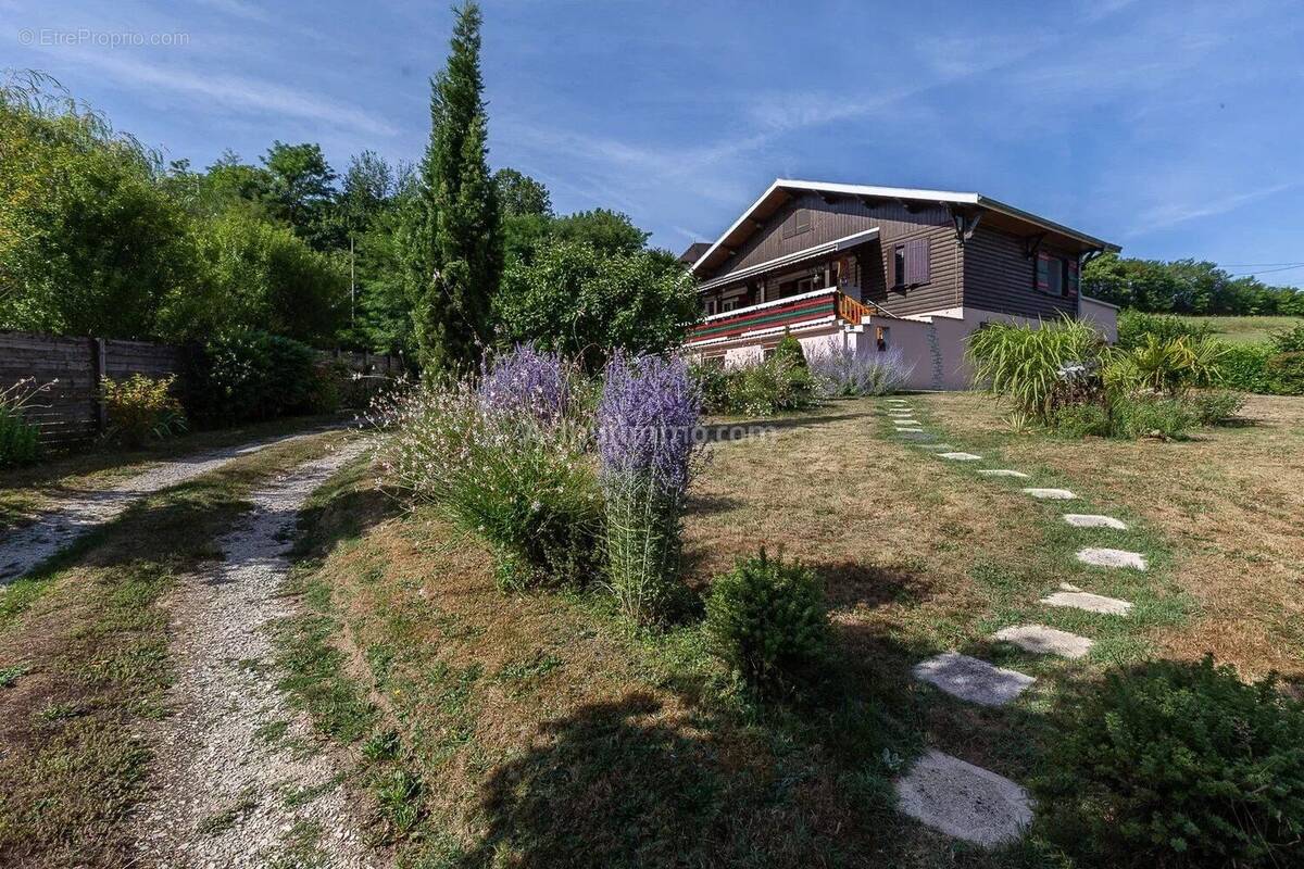 Maison à VEZERONCE-CURTIN