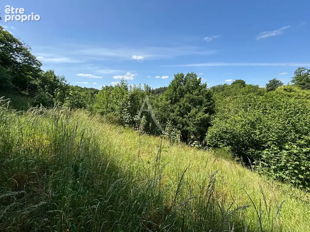 Terrain de loisirs - Chateau-Gontier-sur-Mayenne - photo 2