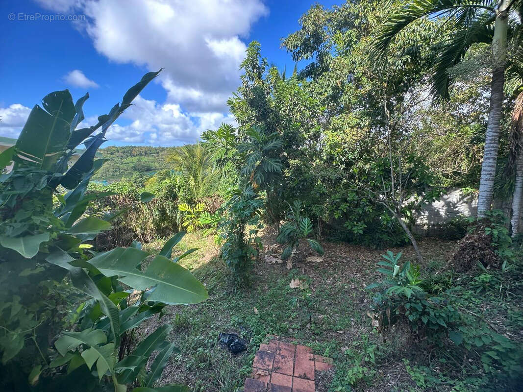 Maison à RIVIERE-SALEE