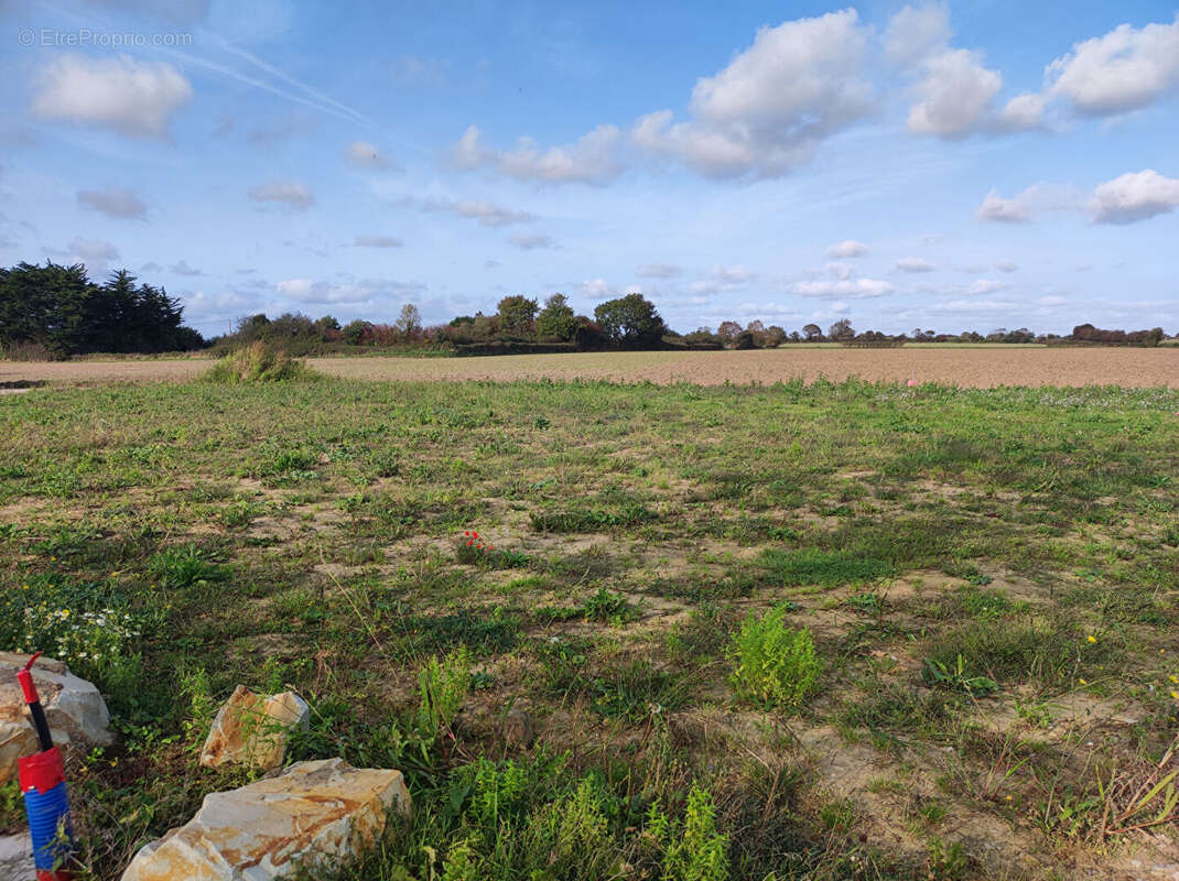 Terrain à PORTBAIL