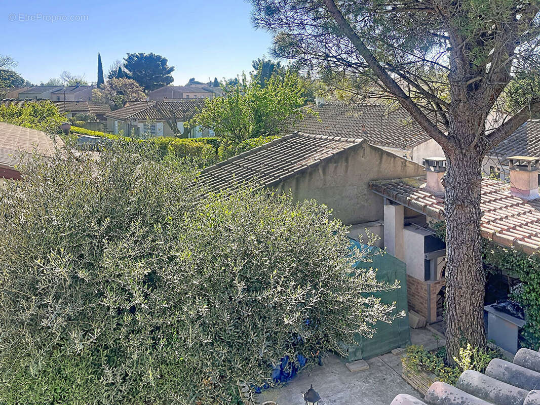 Maison à AVIGNON