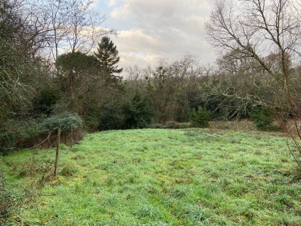 Terrain à SAINT-SELVE