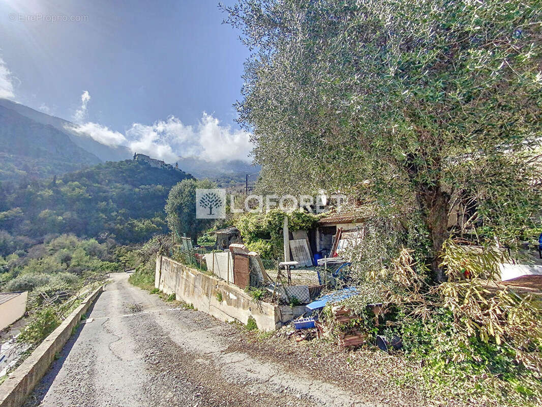 Terrain à GORBIO