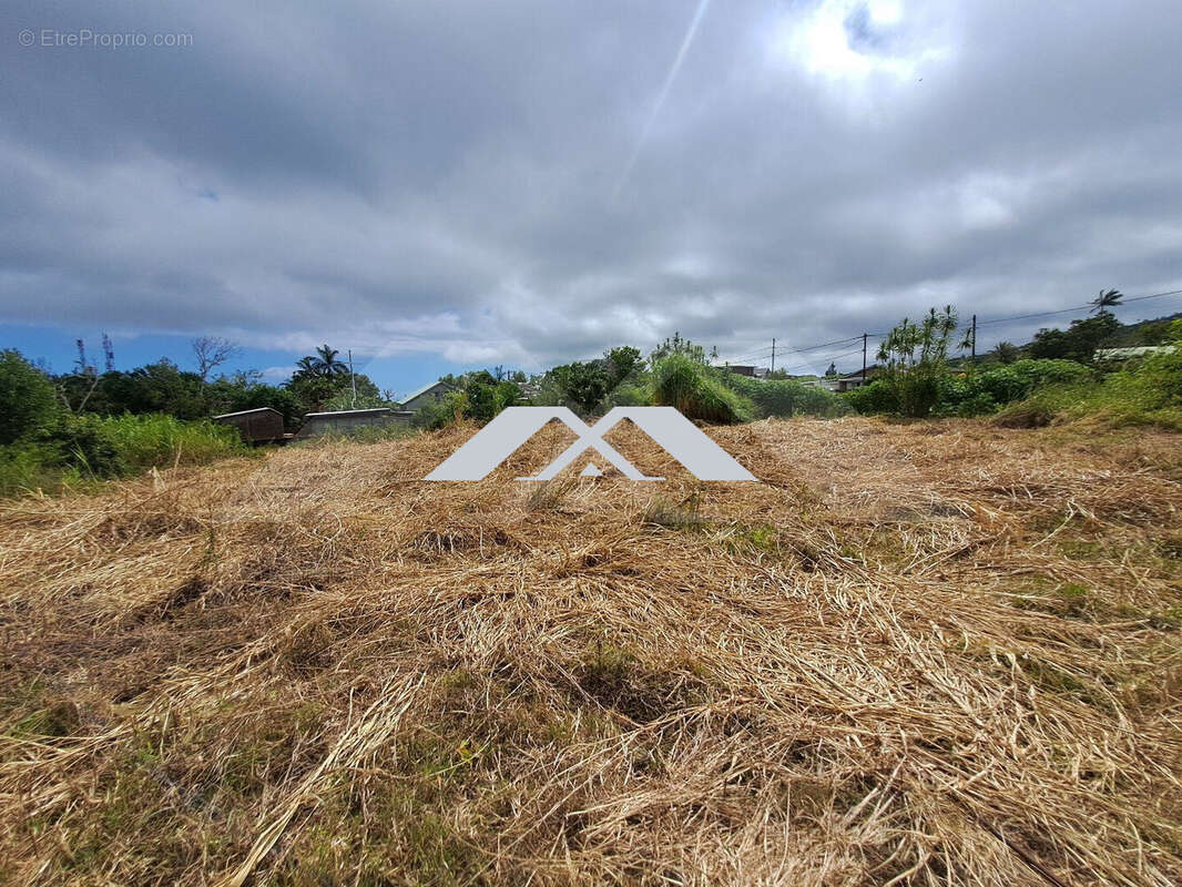 Terrain à SAINT-JOSEPH