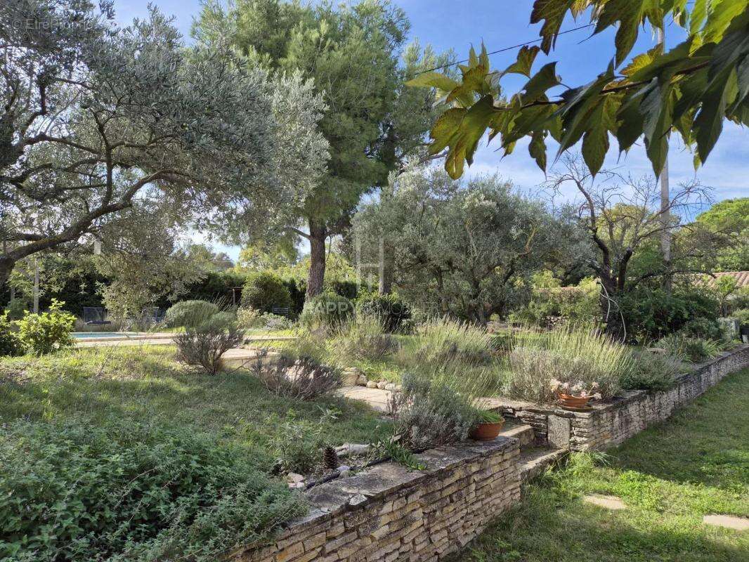 Maison à SAINT-REMY-DE-PROVENCE