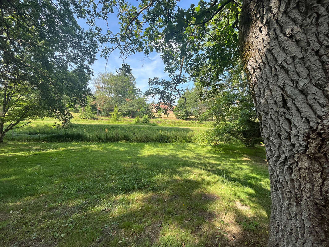 Terrain à BRINON-SUR-SAULDRE