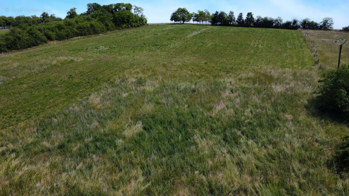 SERGINES (89) - Terrain a batir 2900 m2 - photo 2