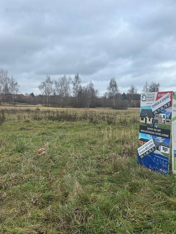 Terrain à NEUVILLE-SUR-ESCAUT