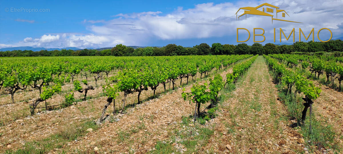 Terrain à SAINTE-CECILE-LES-VIGNES