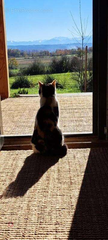 Maison à CASTELNAU-MAGNOAC