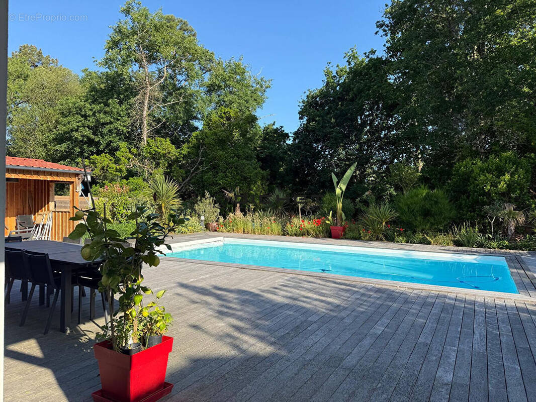 Maison à LEGE-CAP-FERRET