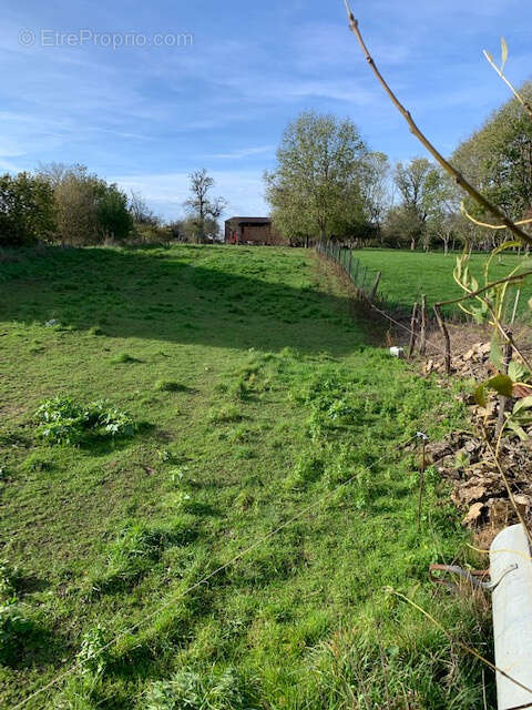 Terrain à CHAOUILLEY