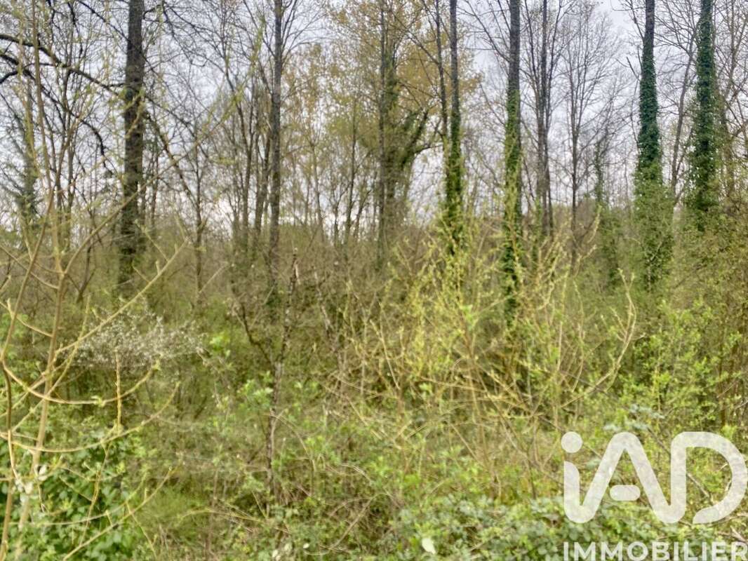 Photo 3 - Terrain à SAINT-ROBERT